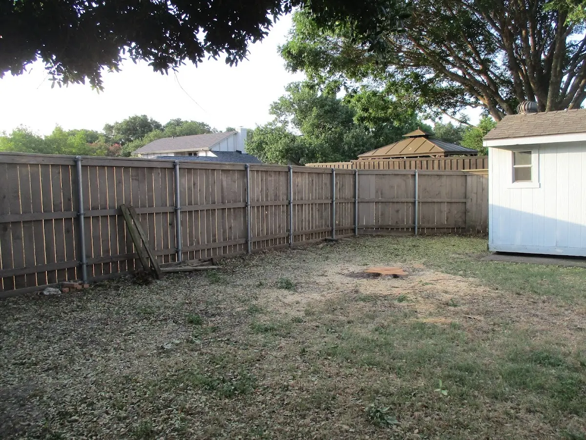 Cleared yard after professional tree removal in Pinehurst